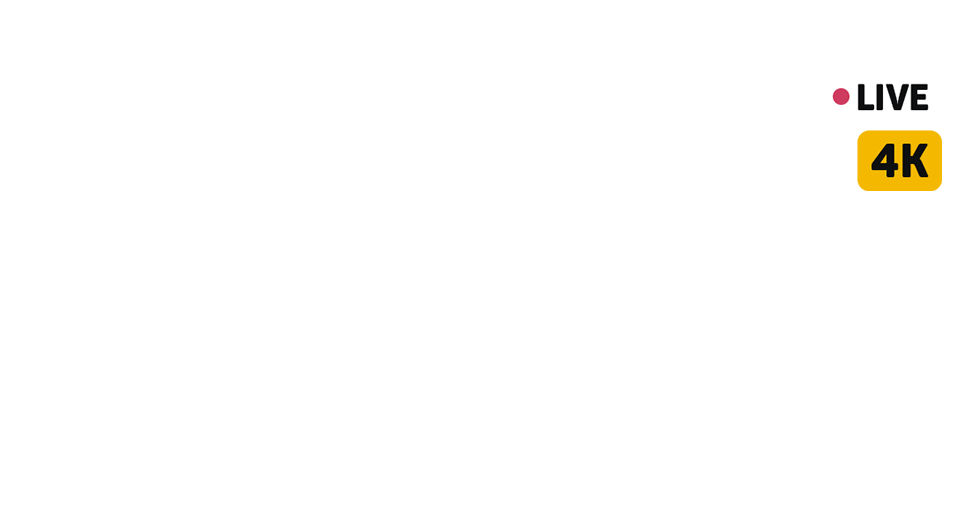 Tivizer